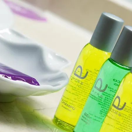 Ayre Alfonso Ii فندق 4*